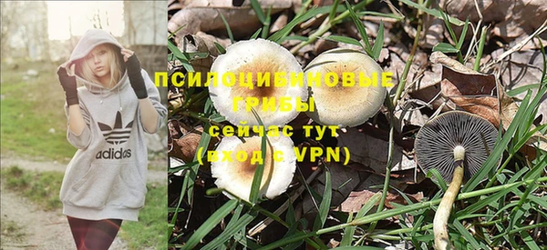 соль ск Магас